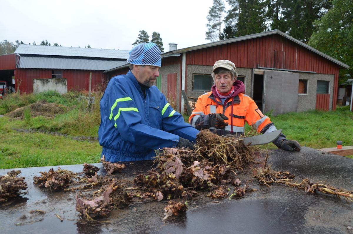 Read more about the article Viskurilla maaseutuyrittäjän villitkin ideat voivat olla kultahippuja