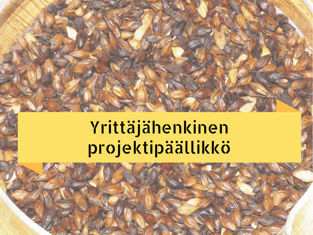 Read more about the article Yrittäjähenkinen projektipäällikkö