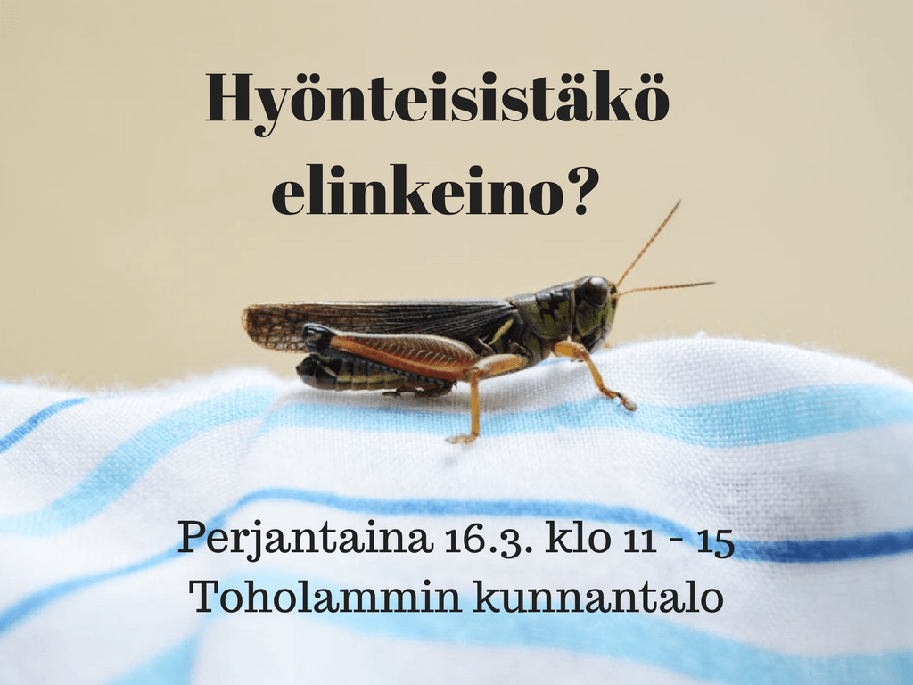 Read more about the article Hyönteisistäkö elinkeino?